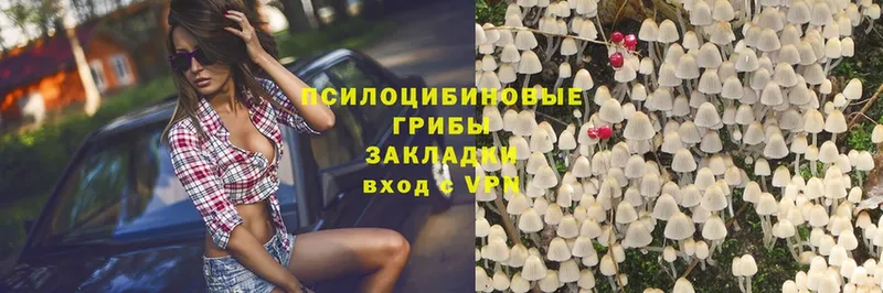 Галлюциногенные грибы Magic Shrooms  сайты даркнета какой сайт  Орск 